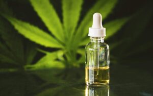 CBD Oil